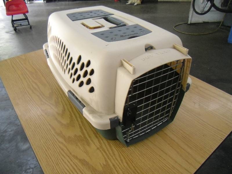 Pet Taxi
