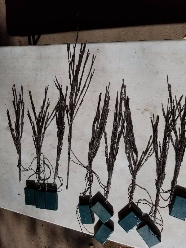 lot 59 image: LED illuminated decorative trees