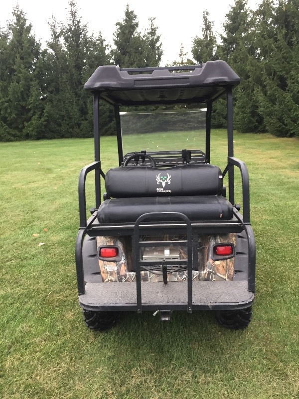 2012 BAD BOY BUGGIE