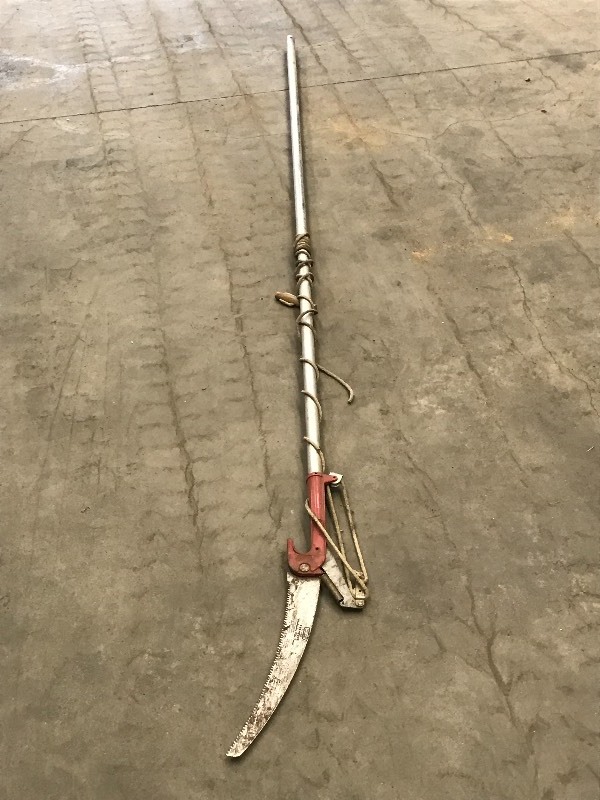 lot 79 image: Pruning Saw
