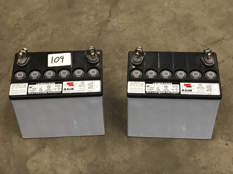 lot 109 image: (2) 12Volt Batteries