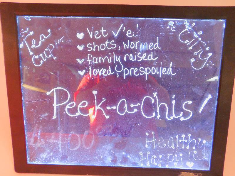 lot 99 image: Working Neon Illuminated Message Board