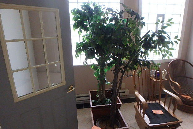 lot 19 image: Two Fake Trees