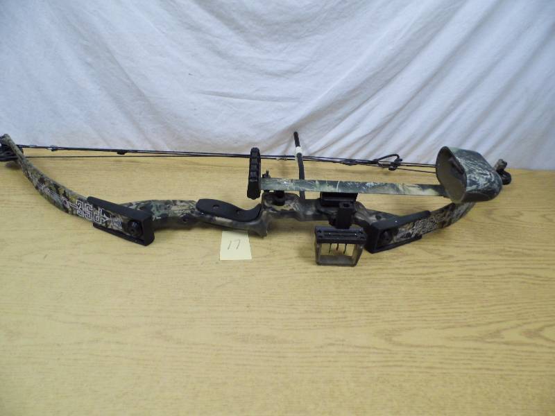 Compound Bow