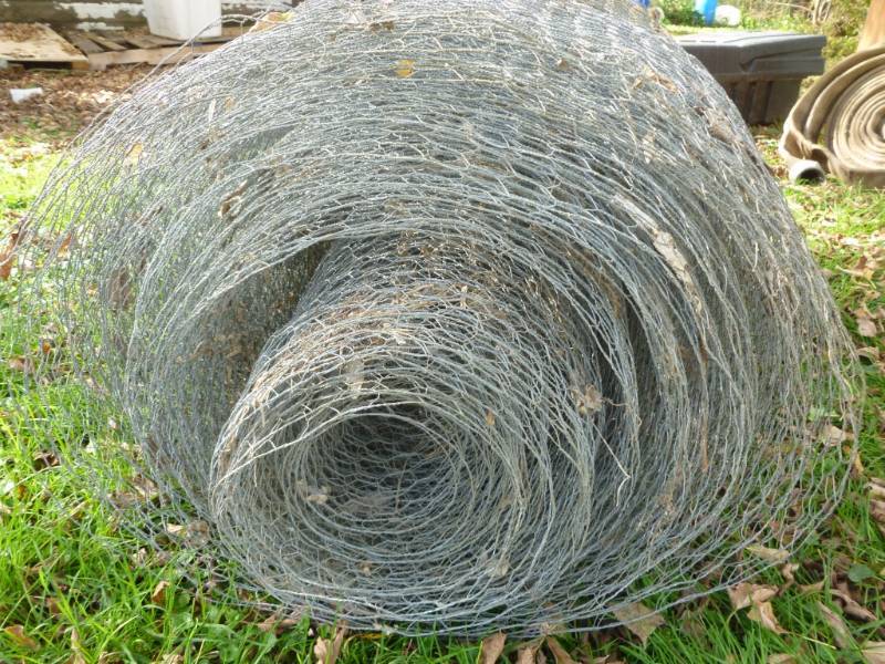 lot 18 image: Chicken Wire