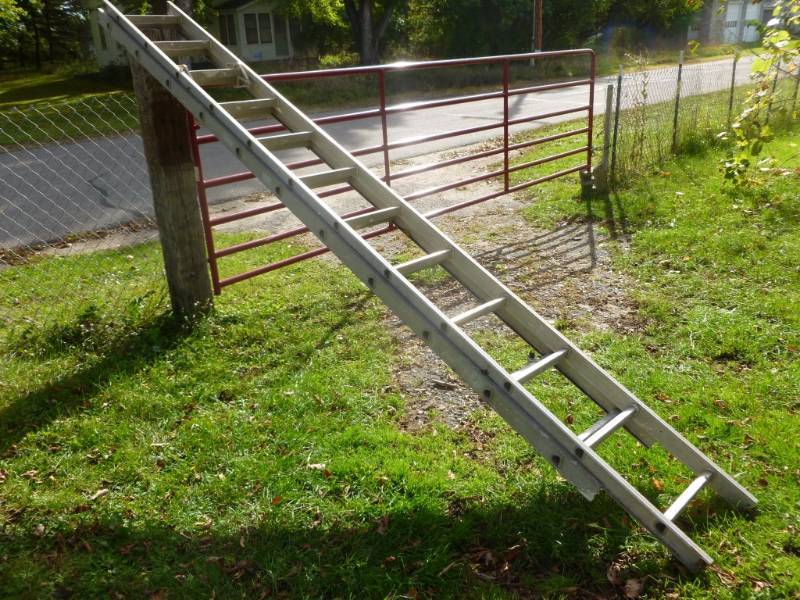 lot 20 image: Extension Ladder