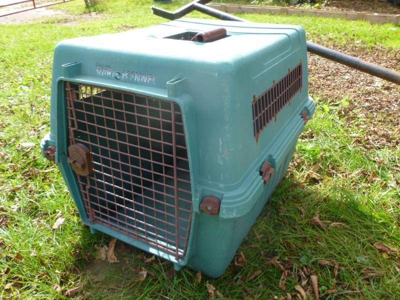 lot 38 image: Pet Kennel