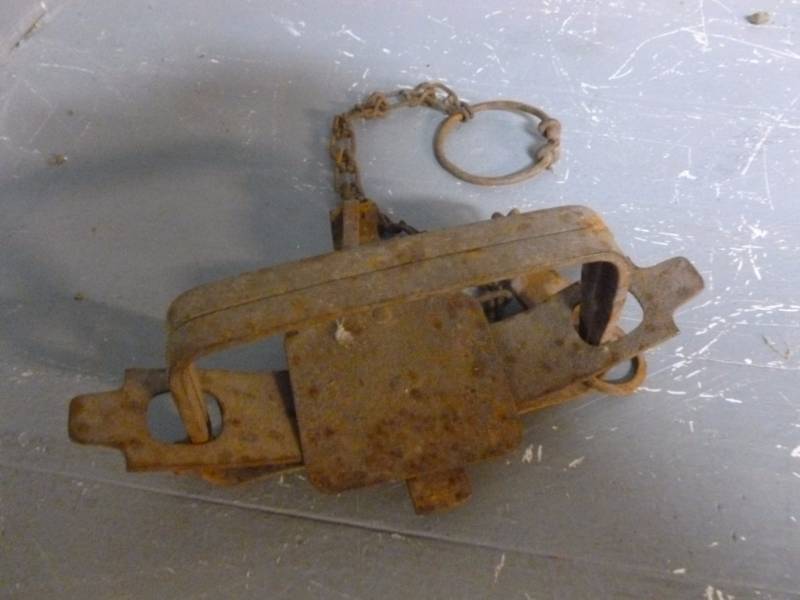 lot 223 image: Vintage Trap
