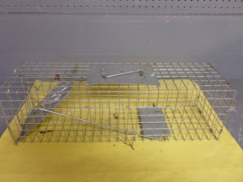 lot 232 image: Live Trap