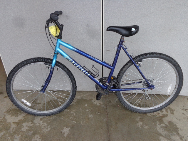lot 10 image: Outlook Mountain Bike
