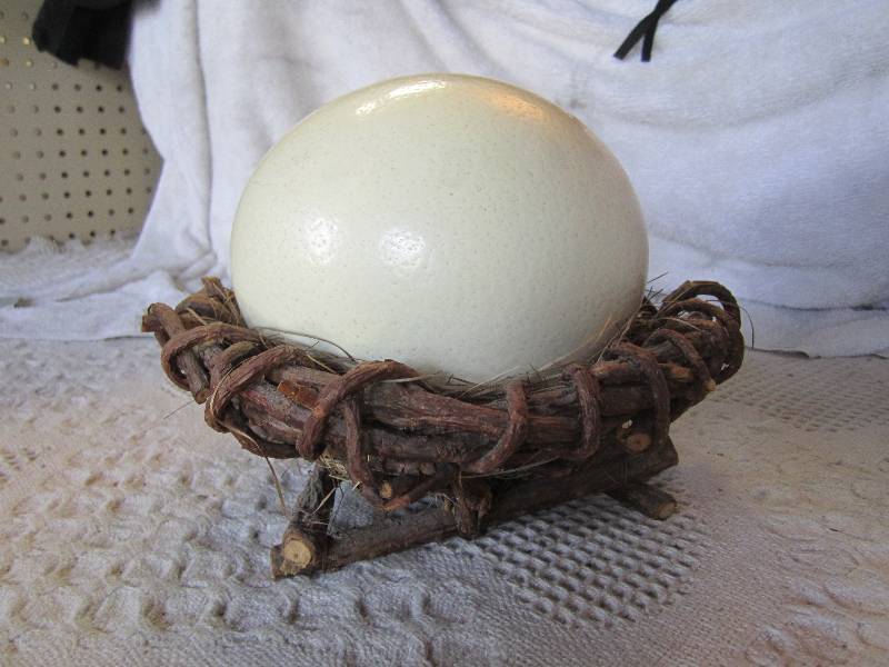lot 10 image: Ostrich Egg in Nest Base Egg is abo...