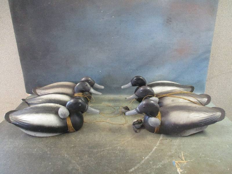 Plastic Duck Decoys