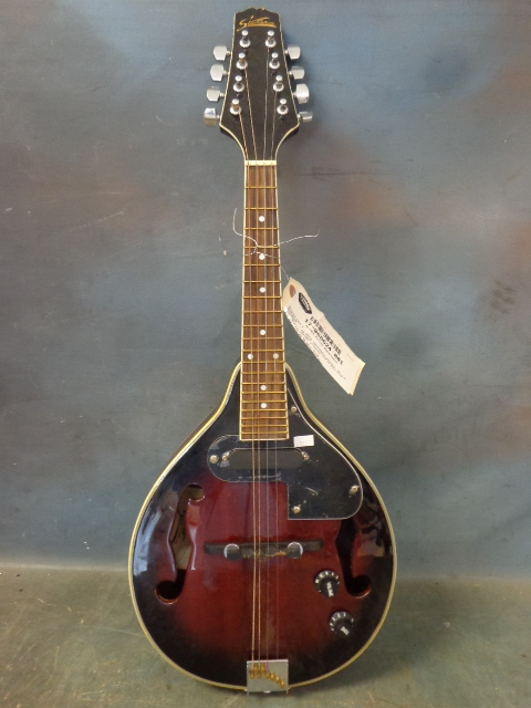 Electric Mandolin