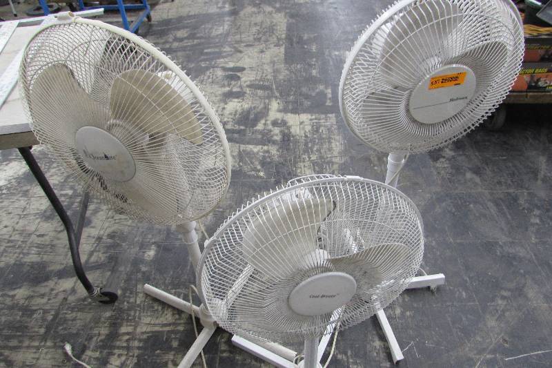 lot 537 image: 3 FLOOR FANS