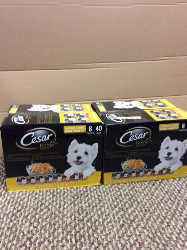 lot 91 image: 2 Cases Ceasar Home Large Count Dog Food - 8 Flavors 40 ccount each New