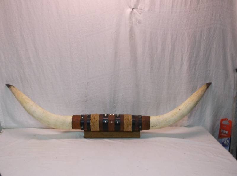 Texas Longhorns