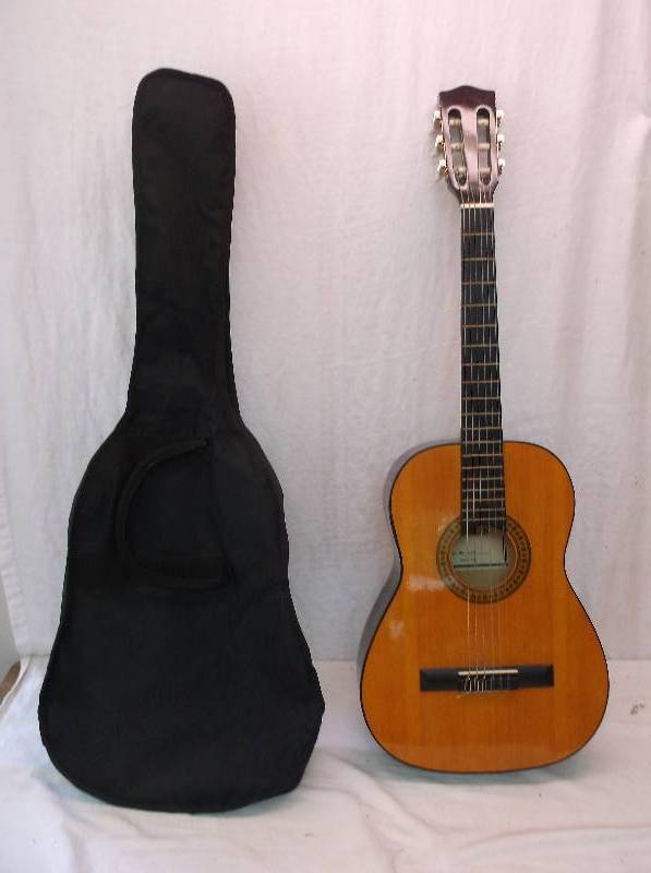 Guitar