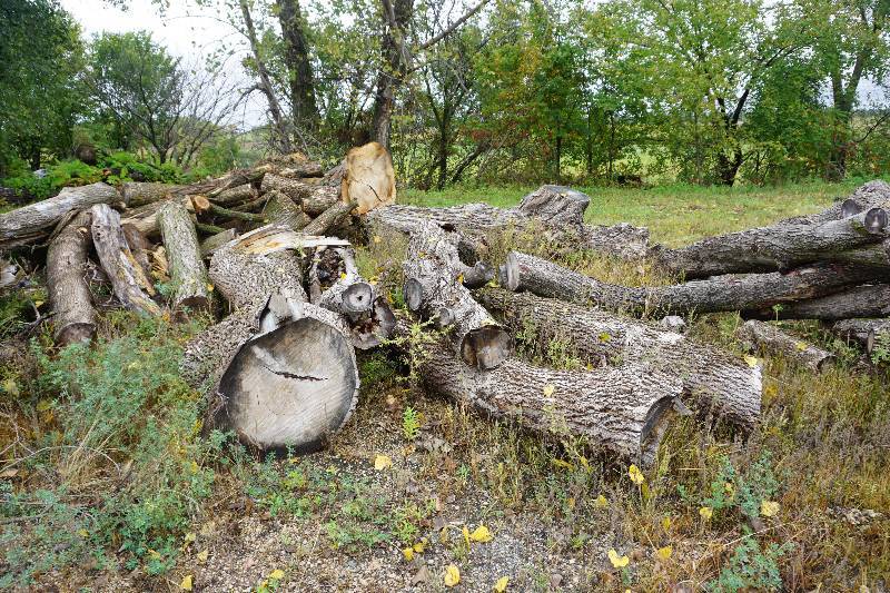 Lot Approximately 3 Cord of Dimensional Length Firewood