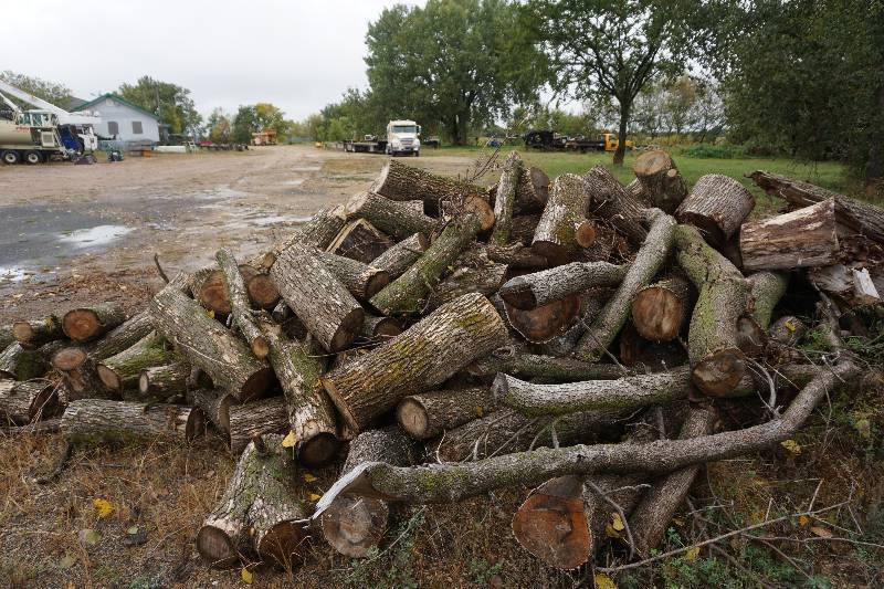 Lot Approximately 3 Cord of Shorter Length Cut Firewood