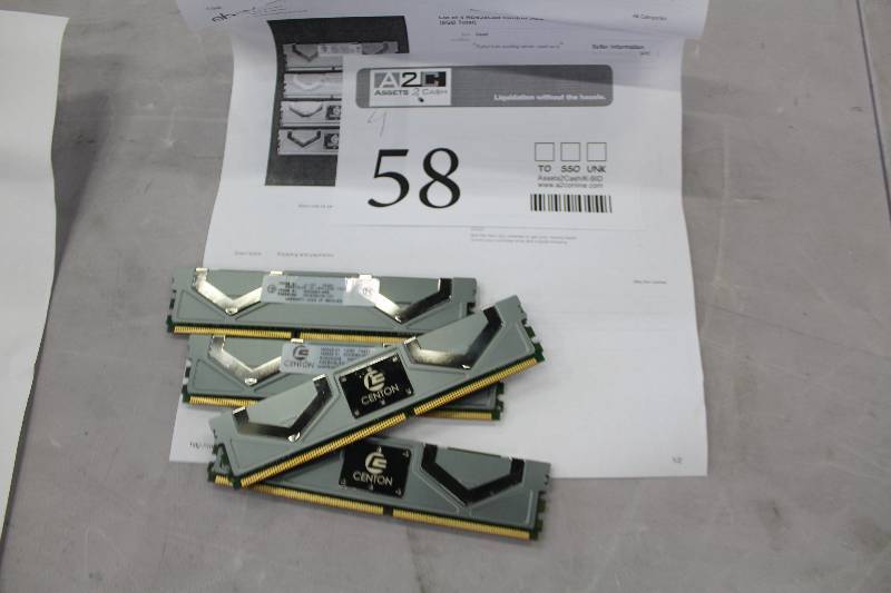 lot 58 image: Lot of (4) RD628G08 Centon 2GB PC2-5300 DDR2-667MHz 240-Pin DII