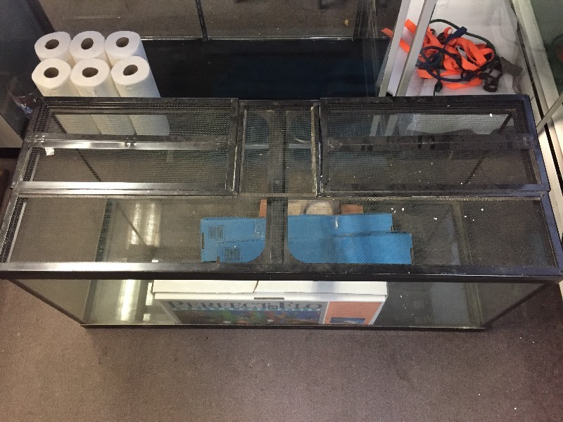 lot 51 image: 75 Gallon Aquarium & Accessories