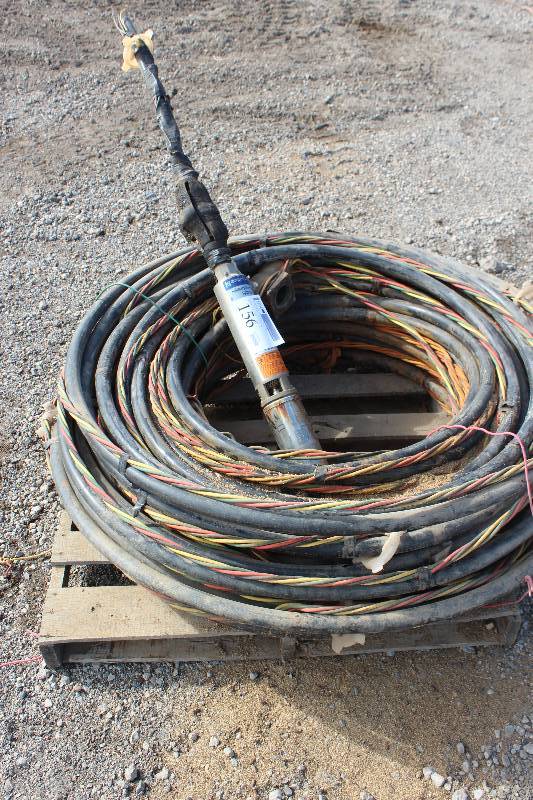 lot 156 image: Goulds 4in. Submersible Well Pump w 225ft. Hose And Wiring