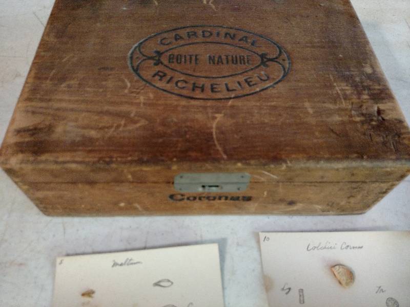 lot 132 image: Vintage Coronas Wooden Cigar Box wi...