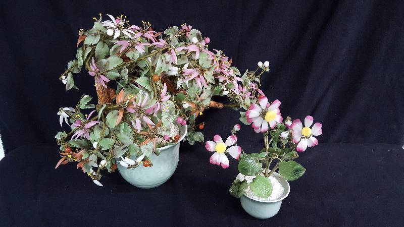 lot 133 image: Jade Trees