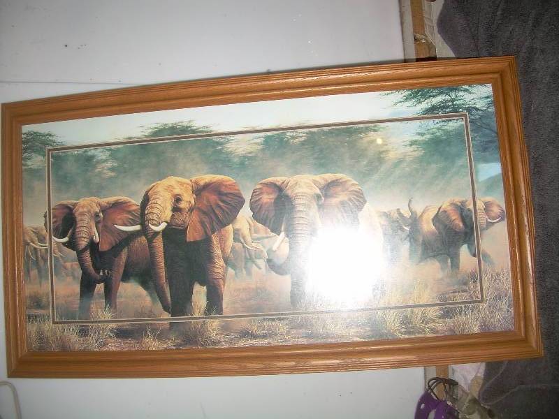 lot 17 image: ELEPHANT PICTURE