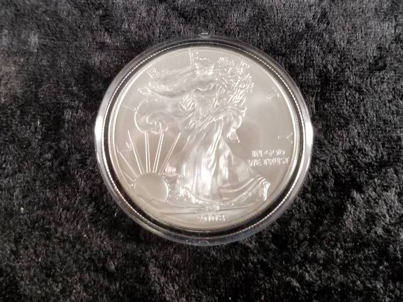 2008 $1 Walking Liberty, 1 oz Silver, BU