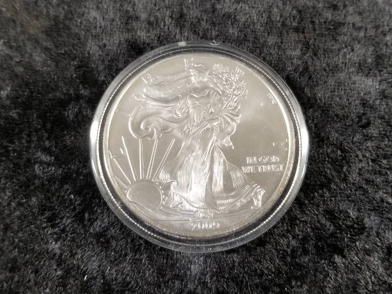 2009 $1 Walking Liberty, 1 oz Silver, BU