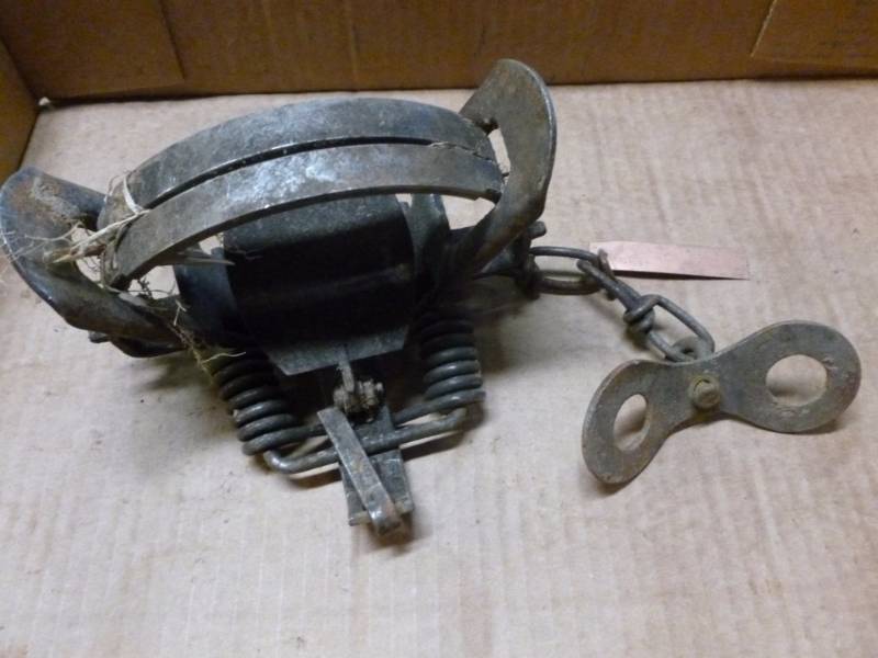 lot 41 image: Trap