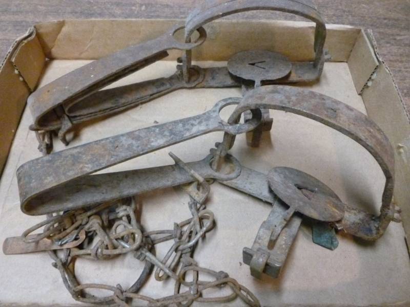 lot 42 image: Vintage Traps