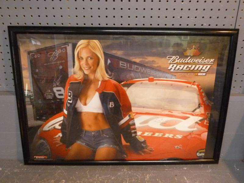 lot 251 image: NASCAR Collectible