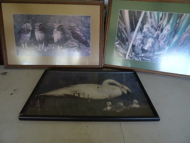 lot 53 image: 3 Framed Prints