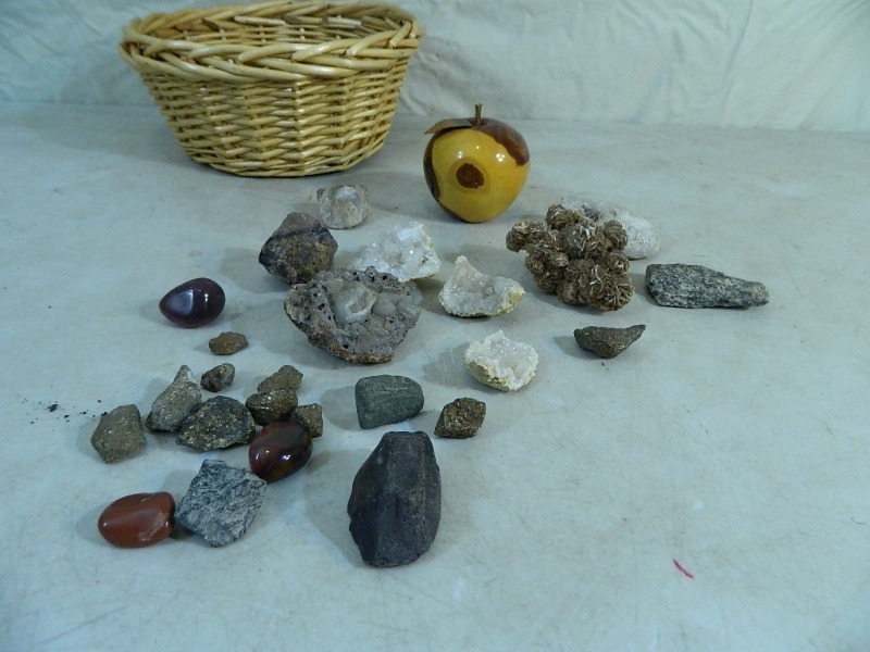 lot 7 image: Collectible Rocks and Wood Apple