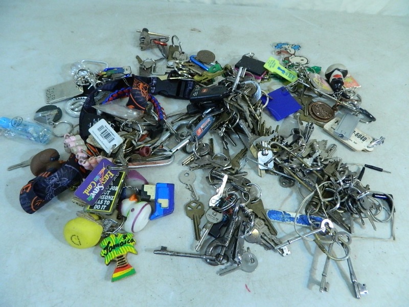 lot 25 image: Large Assortment of Keys, Keychains, and More