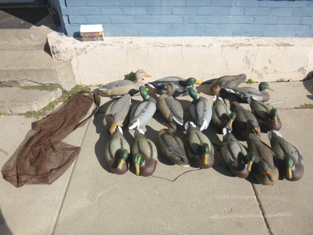 lot 24 image: 18 Duck Decoys