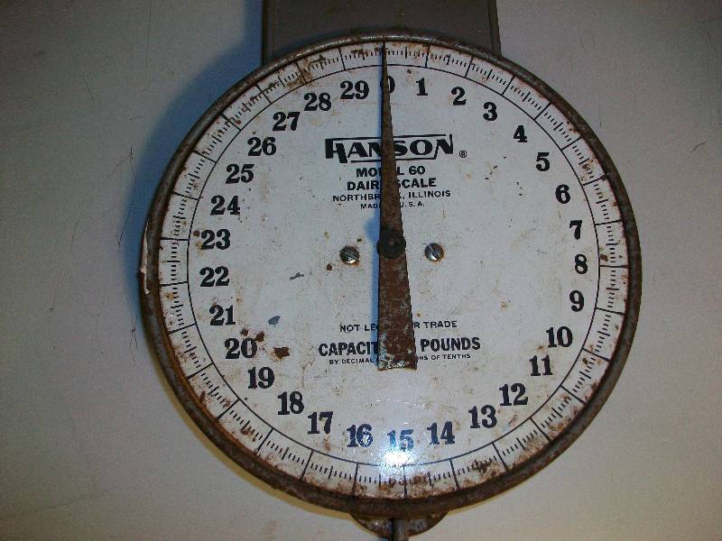 lot 14 image: Scales