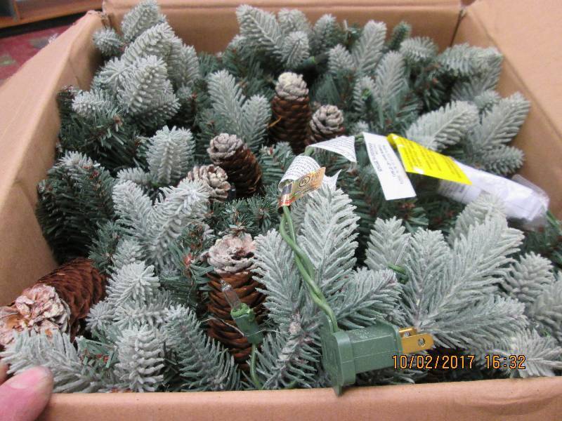 26 in. Copenhagen Blue Spruce Potte...