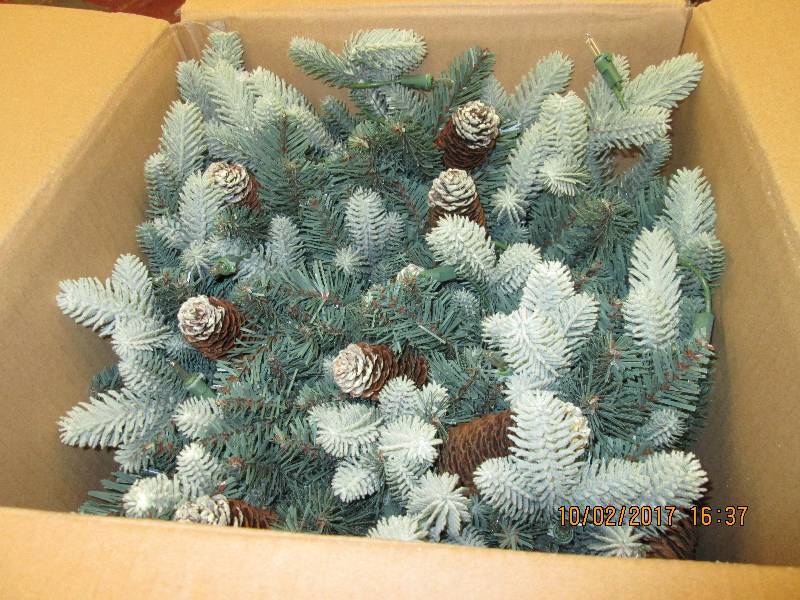 26 in. Copenhagen Blue Spruce Potte...