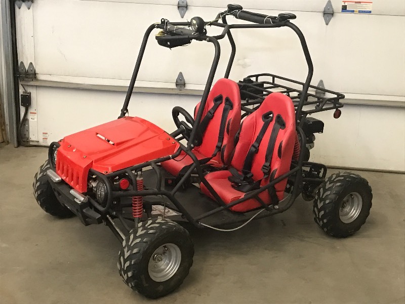 TwoSeater Gas Powered GoKart LE "Bid Summer Goodbye" Annual Auction