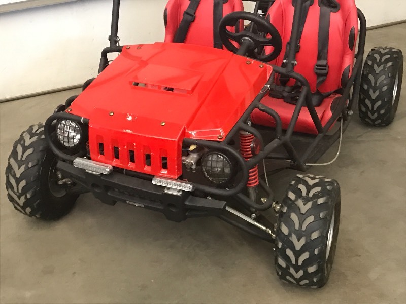 lot 4 image: Two-Seater Gas Powered Go-Kart