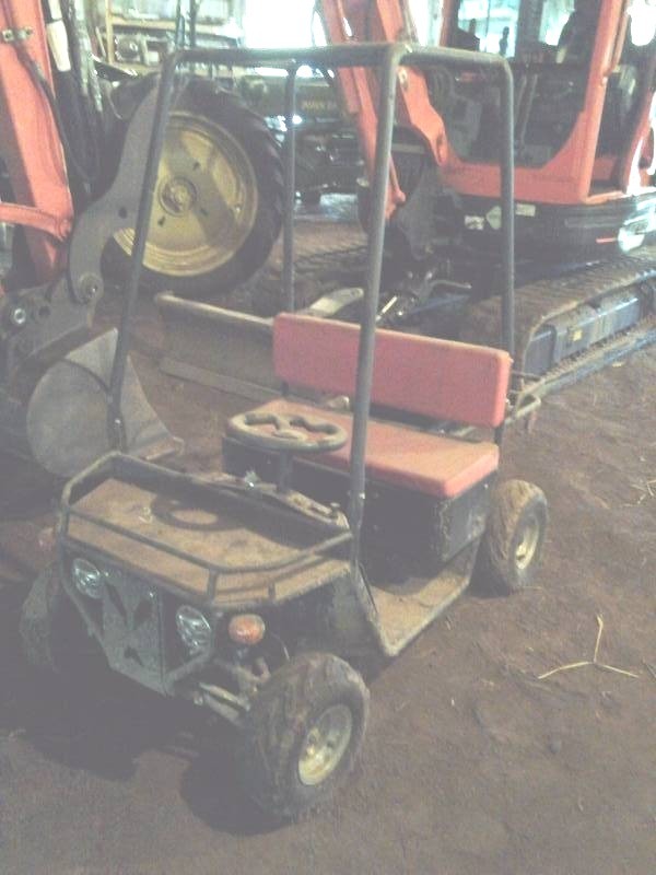 lot 21 image: 2008 Mini ATV With Electric Start