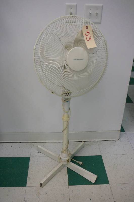 Fan
