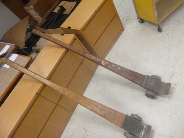lot 32 image: 2 Mules