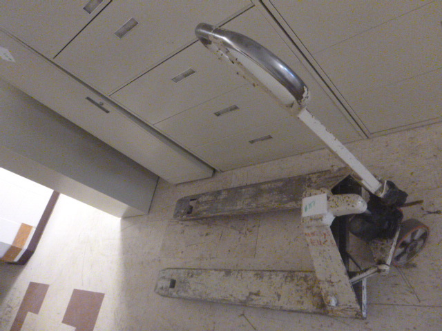 lot 117 image: Pallet Jack