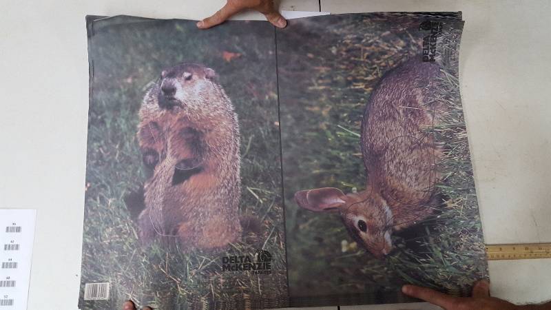 lot 60 image: Delta McKenzie Tru-Life Targets