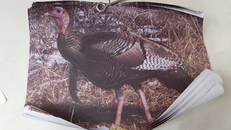 lot 64 image: Delta McKenzie Tru-Life Targets