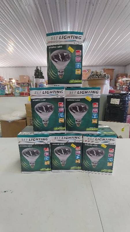 lot 235 image: (6) SLI Infared Clear Heat Lamps